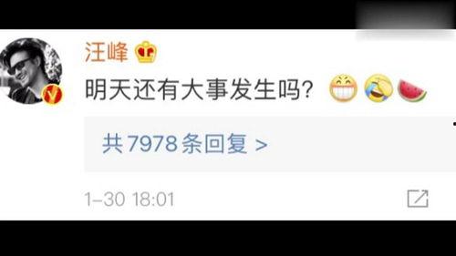 一线吃瓜娱乐圈txt,揭秘一线吃瓜txt背后的精彩故事