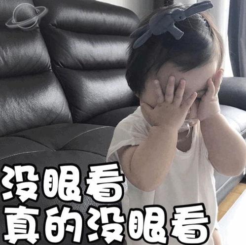 吃瓜娱乐圈金子涵,娱乐圈的瓜田新秀,星光熠熠的璀璨人生