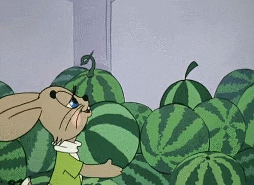 全球吃瓜娱乐,瓜田李下,娱乐盛宴